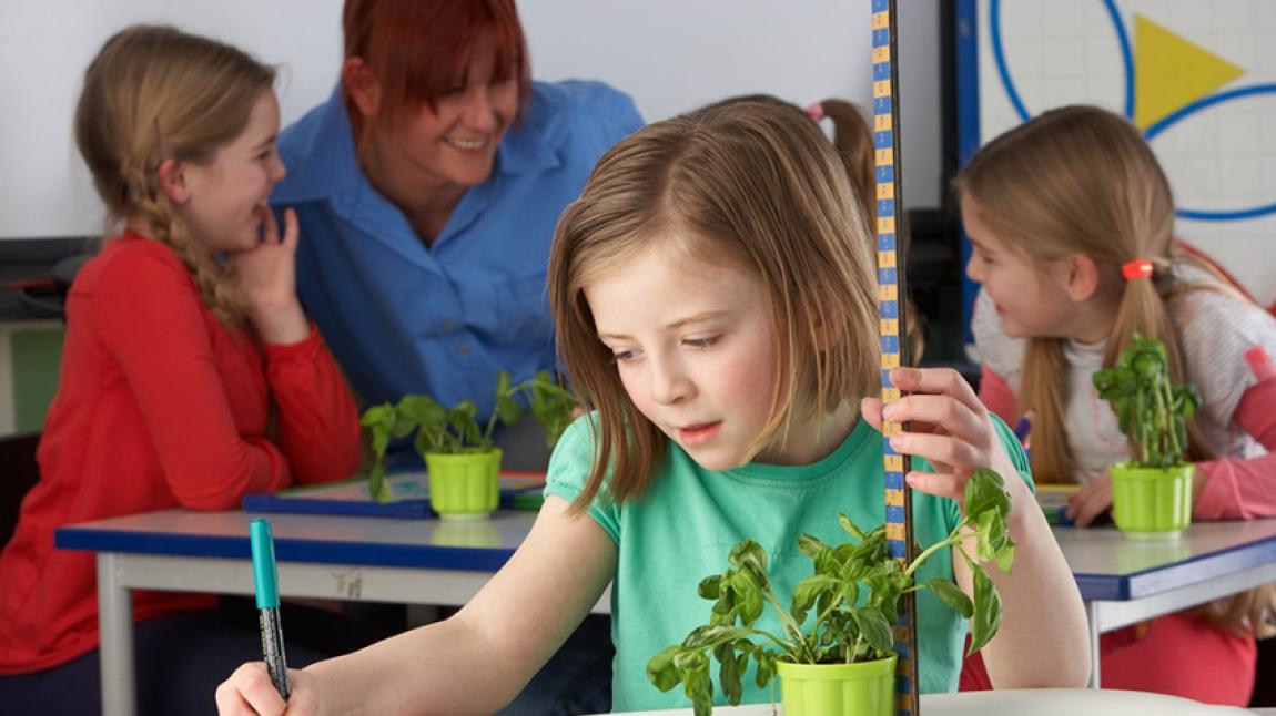 Okullarda Bitki Yetiştirmenin Faydaları